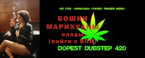 ПСИЛОЦИБИНОВЫЕ ГРИБЫ Тайга