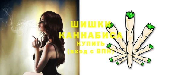 ПСИЛОЦИБИНОВЫЕ ГРИБЫ Тайга