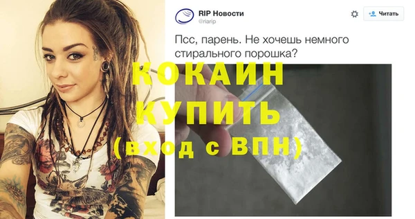 ПСИЛОЦИБИНОВЫЕ ГРИБЫ Тайга