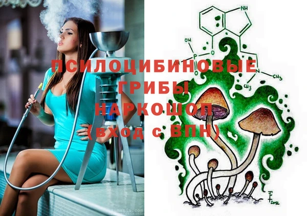 МДПВ Тавда