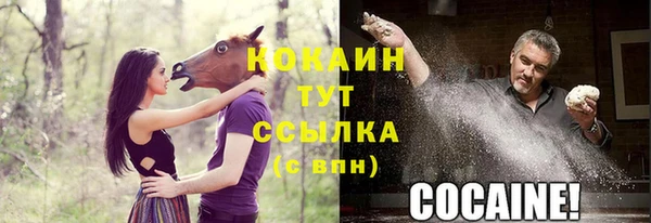 кокс Сясьстрой