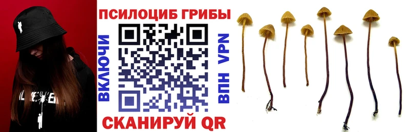 Галлюциногенные грибы MAGIC MUSHROOMS  Бирюсинск 