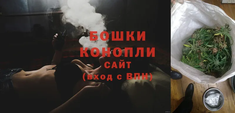 купить   Бирюсинск  Бошки Шишки план 